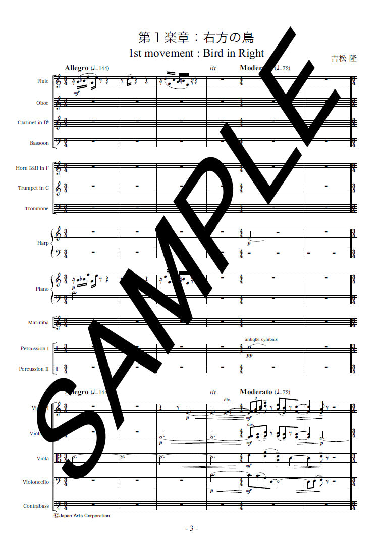 Symphony no.6 "Birds and Angels" op.113