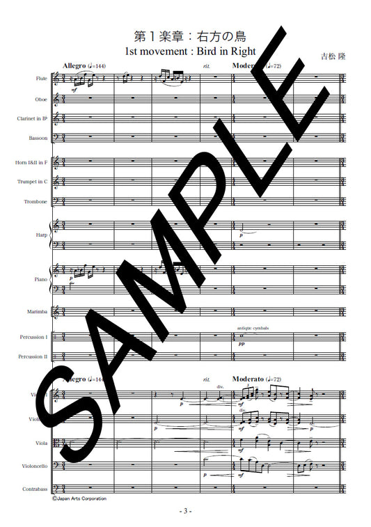 Symphony no.6 "Birds and Angels" op.113