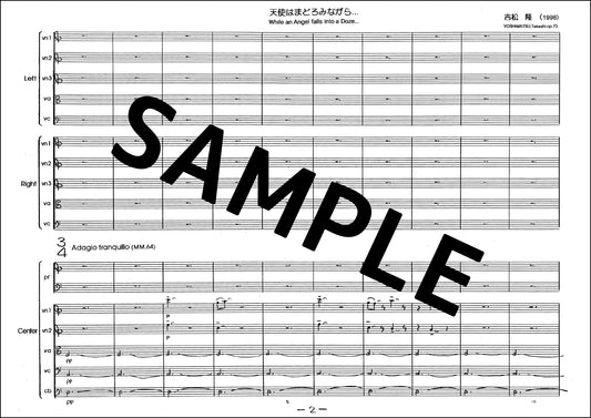 While an Angel Falls into a Doze... Op.73 (Study Score)