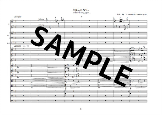 and Birds sing again for Chamber Orchestra op.81